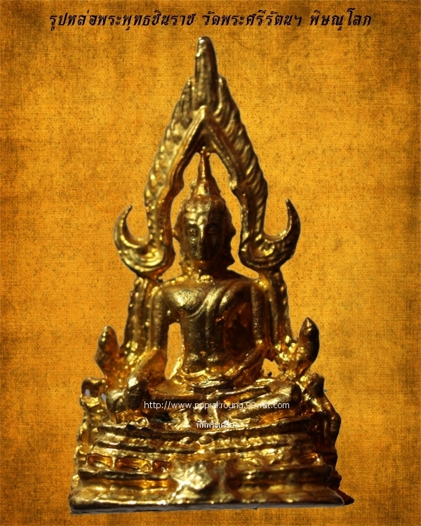 My Image 43