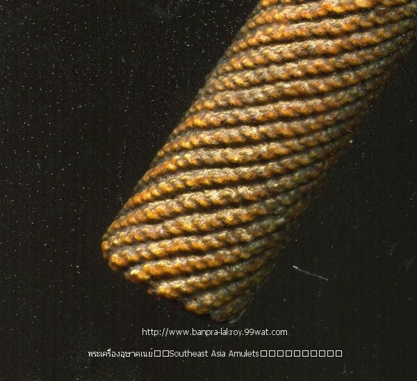 My Image 43