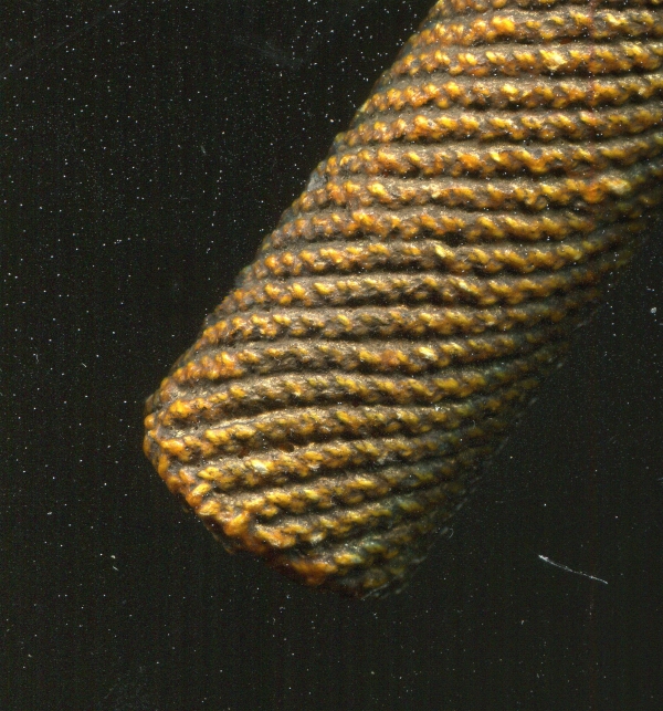 My Image 41