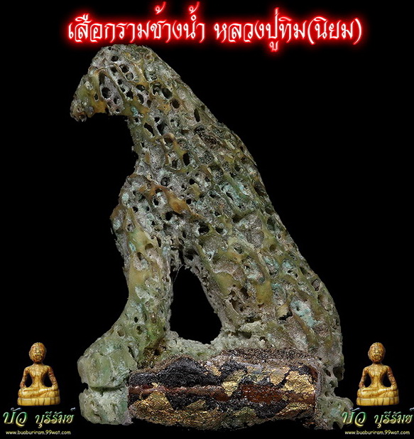 My Image 33