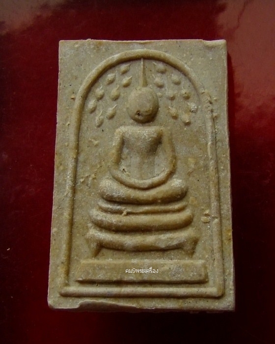 My Image 7
